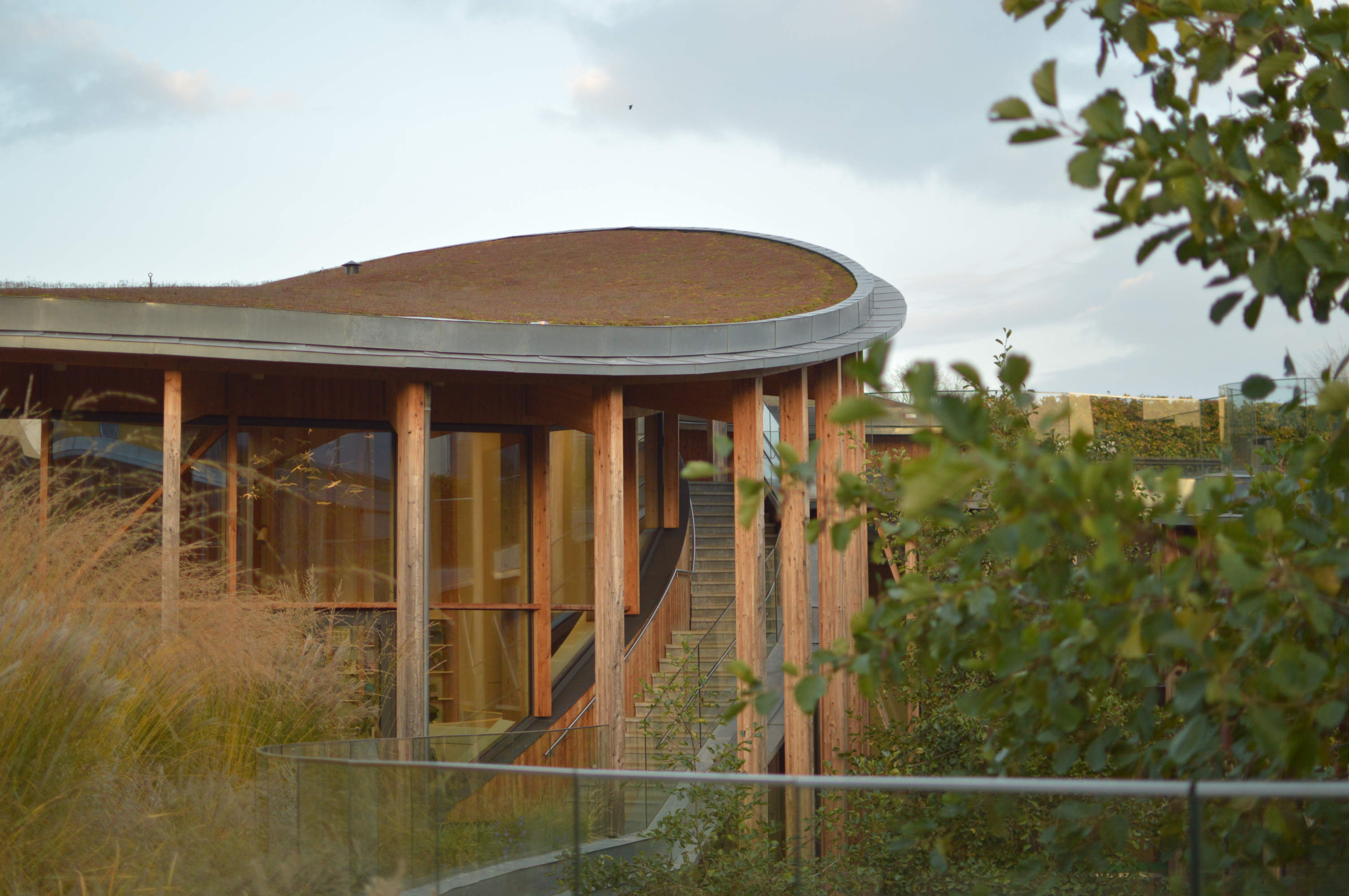 Sample of the environment near my parent's home