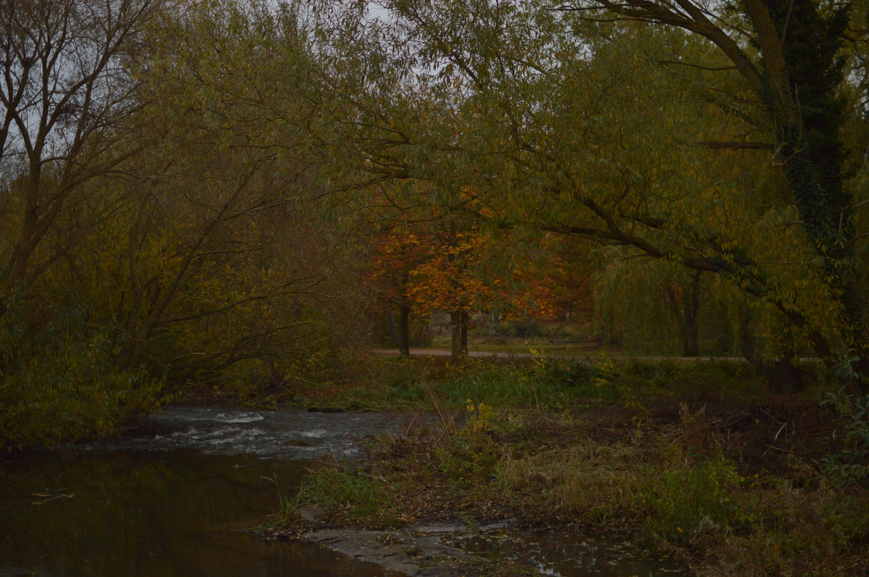 Sample of the environment near my parent's home