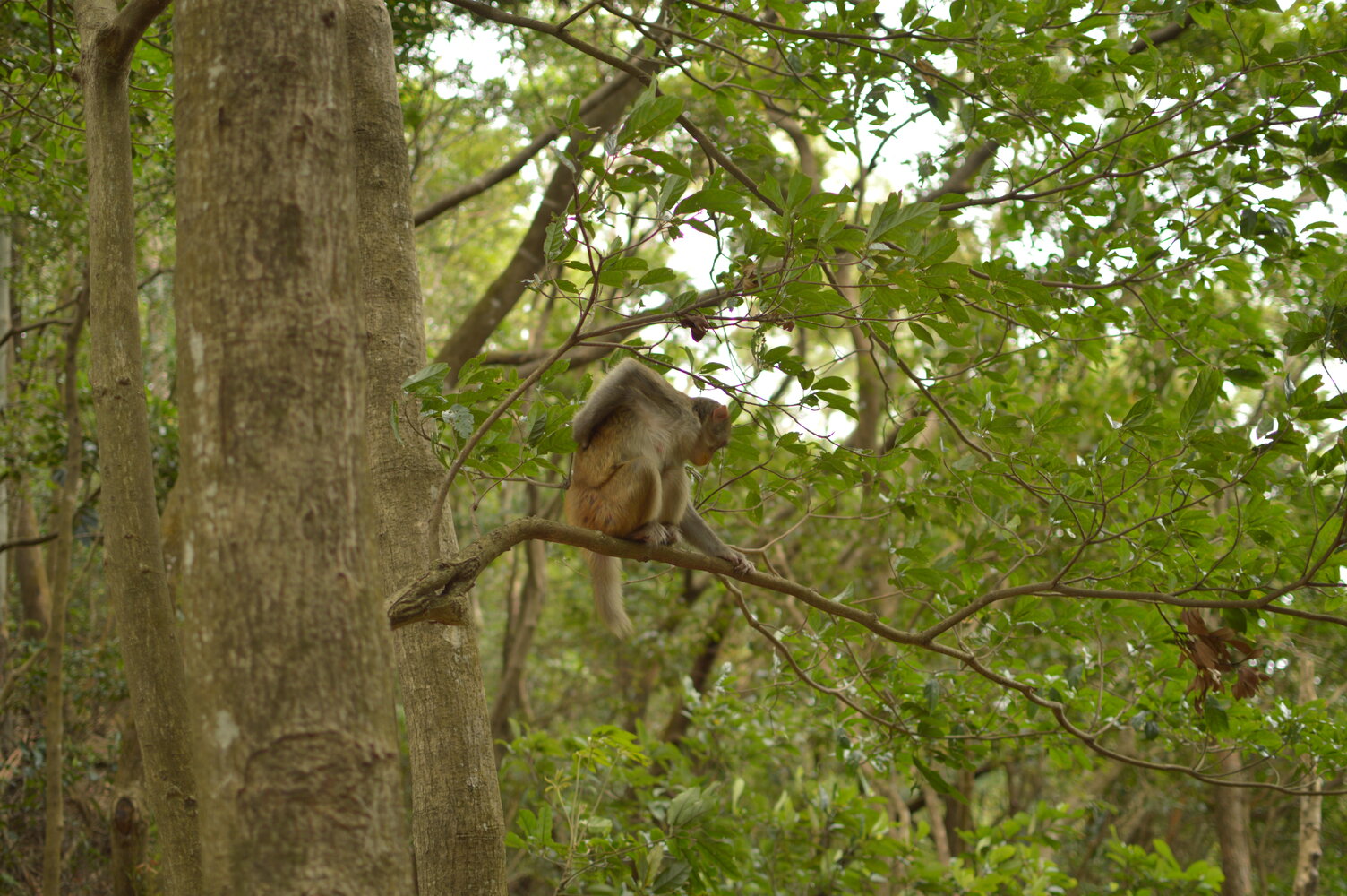 Sample of the environment near my parent's home