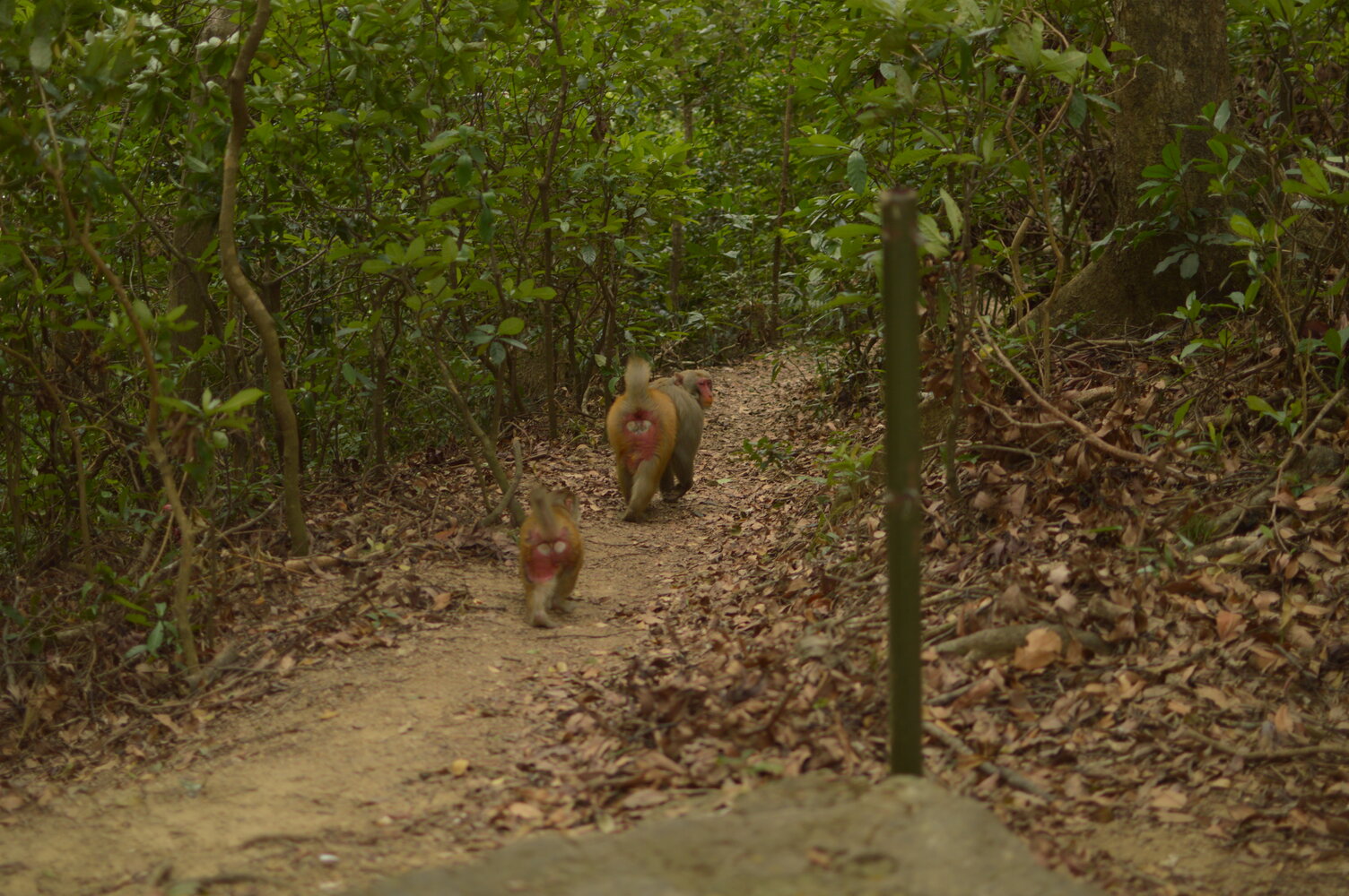 Sample of the environment near my parent's home