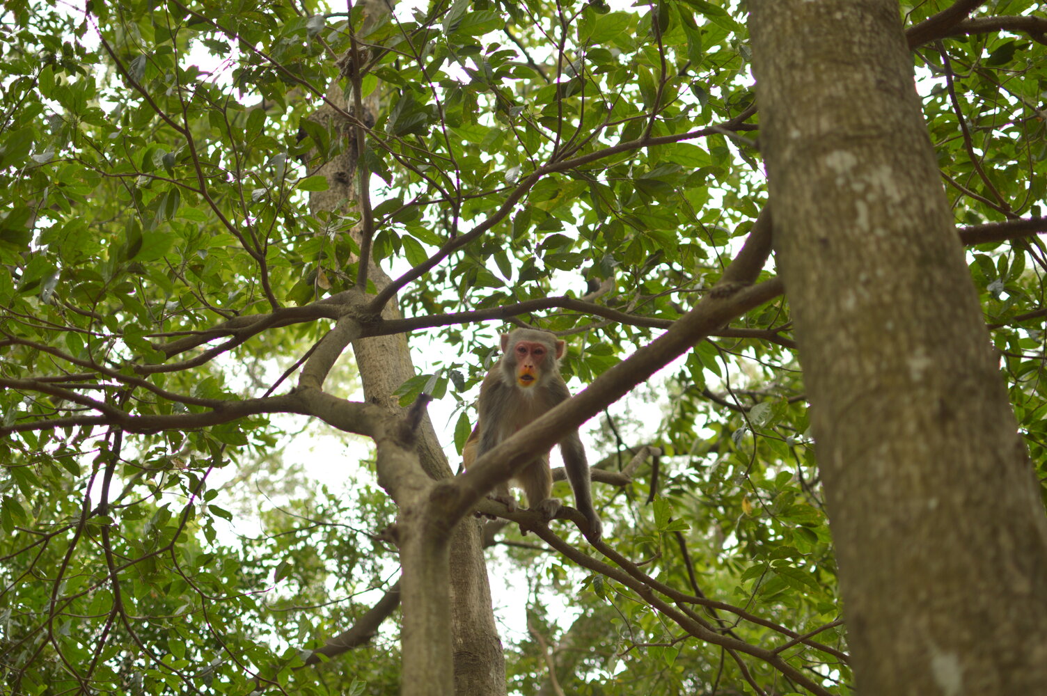 Sample of the environment near my parent's home