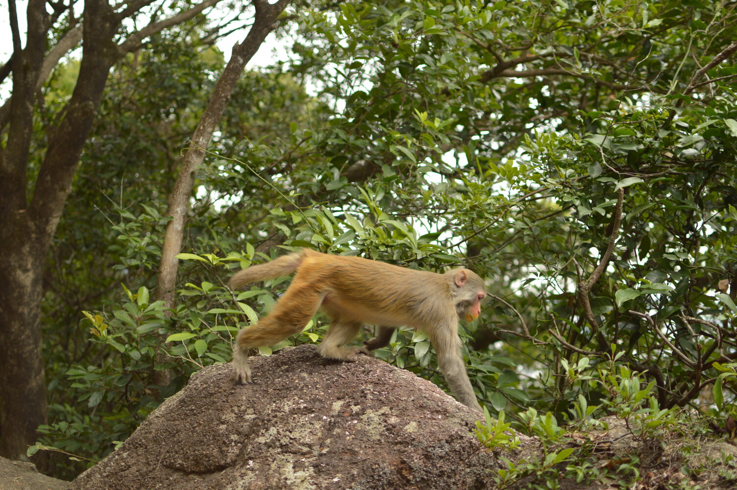 Sample of the environment near my parent's home