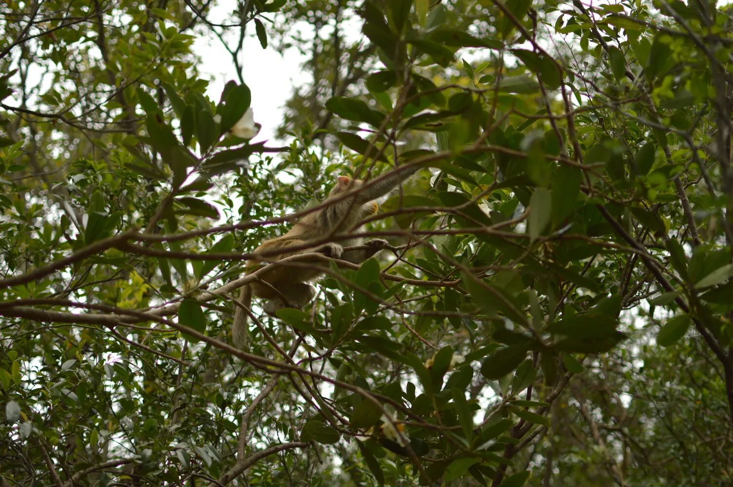 Sample of the environment near my parent's home