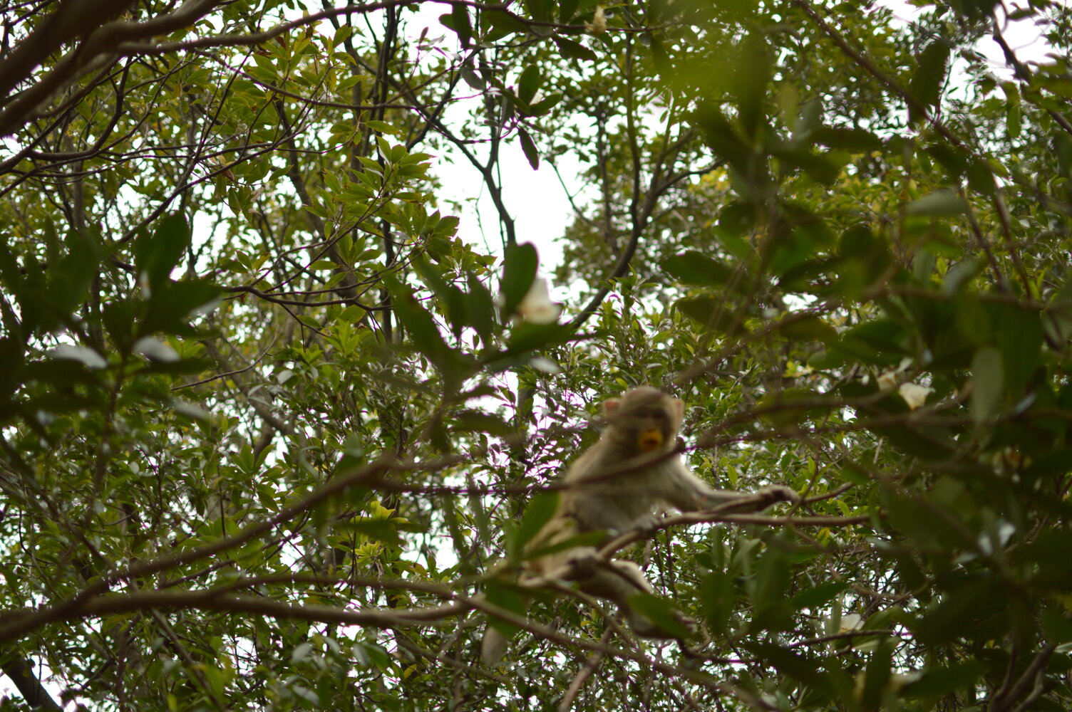 Sample of the environment near my parent's home