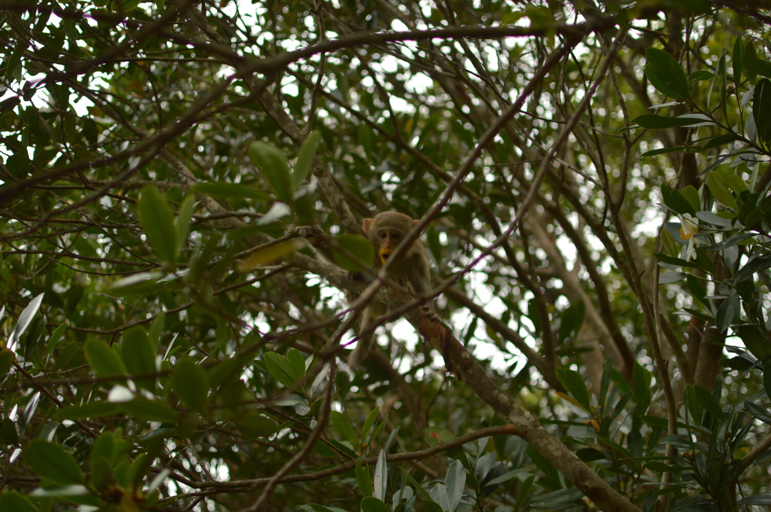 Sample of the environment near my parent's home