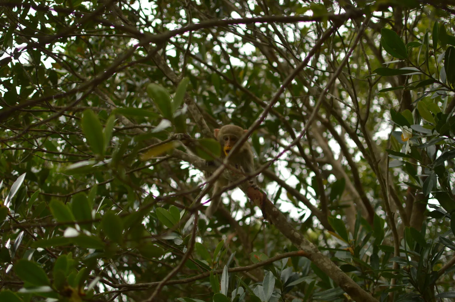 Sample of the environment near my parent's home