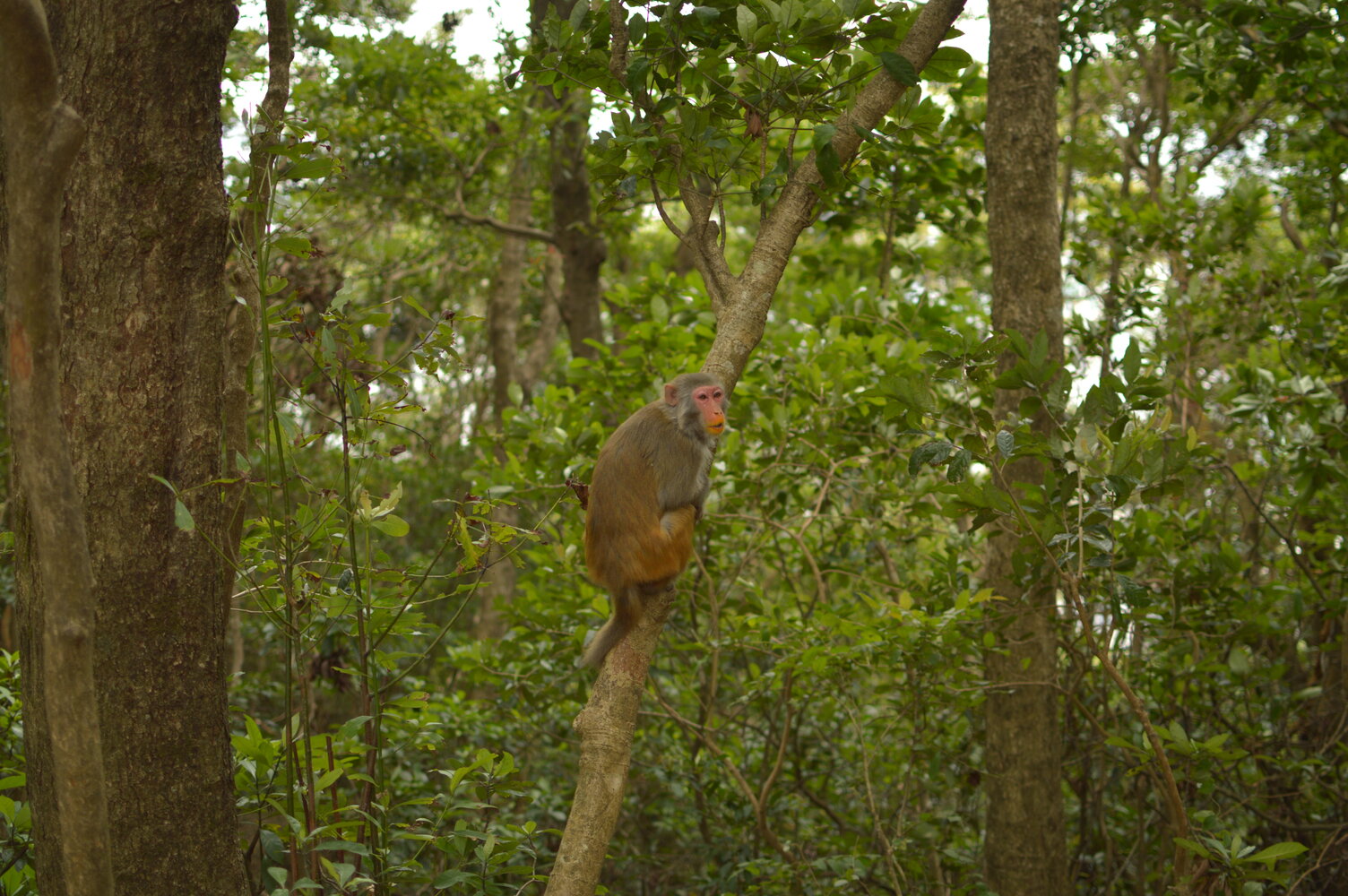 Sample of the environment near my parent's home