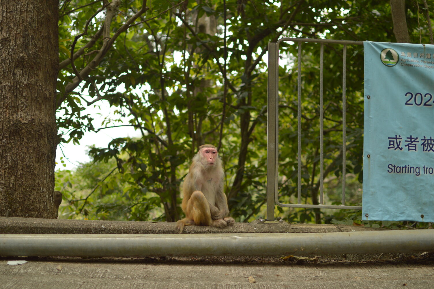 Sample of the environment near my parent's home