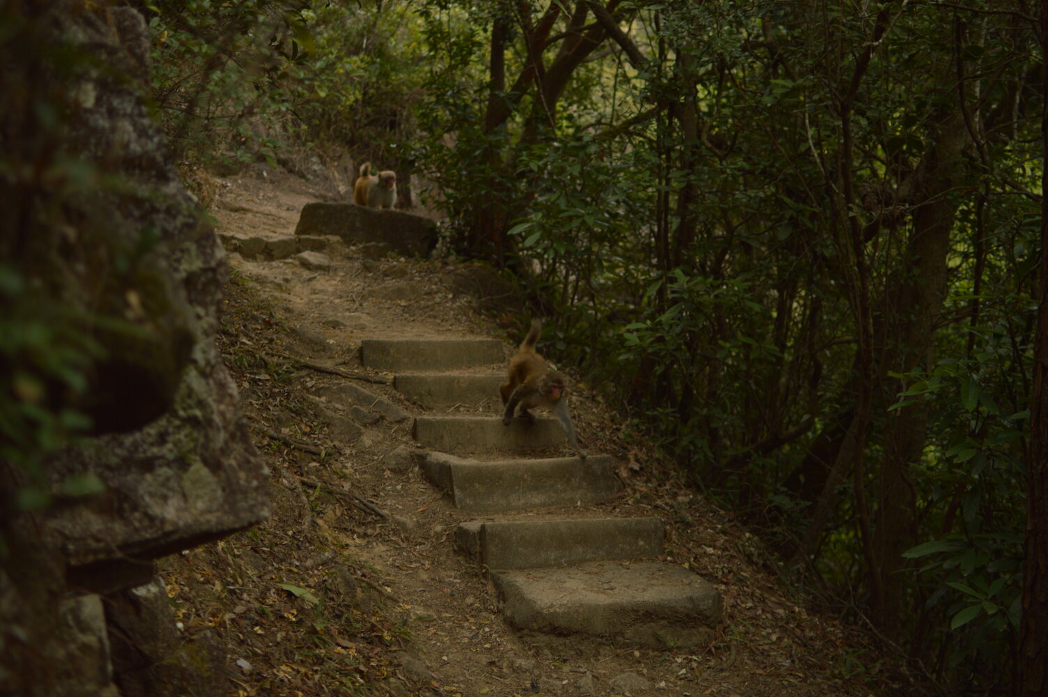 Sample of the environment near my parent's home