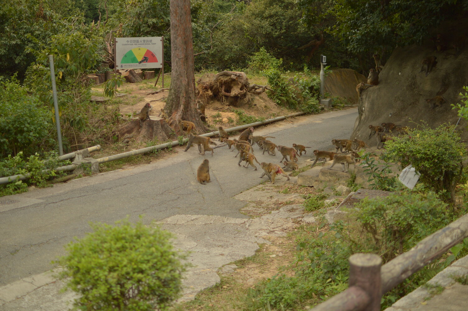 Sample of the environment near my parent's home